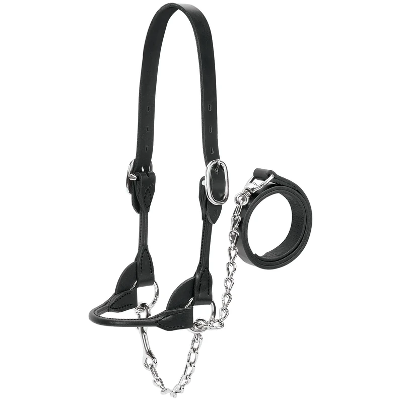 Weaver Leather Livestock Dairy/Beef Rounded Show Halter, Black, Large