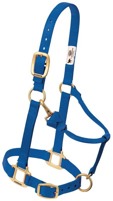 Weaver Leather Nylon Adjustable Draft Horse Halter Blue, Large Draft, Wide