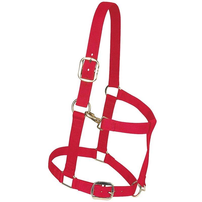 Weaver Leather Nylon Adjustable Draft Horse Halter Red, Large Draft, Wide