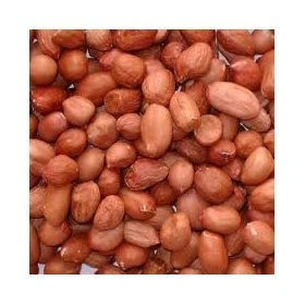 5kg bag wild bird peanuts, FREE Express delivery