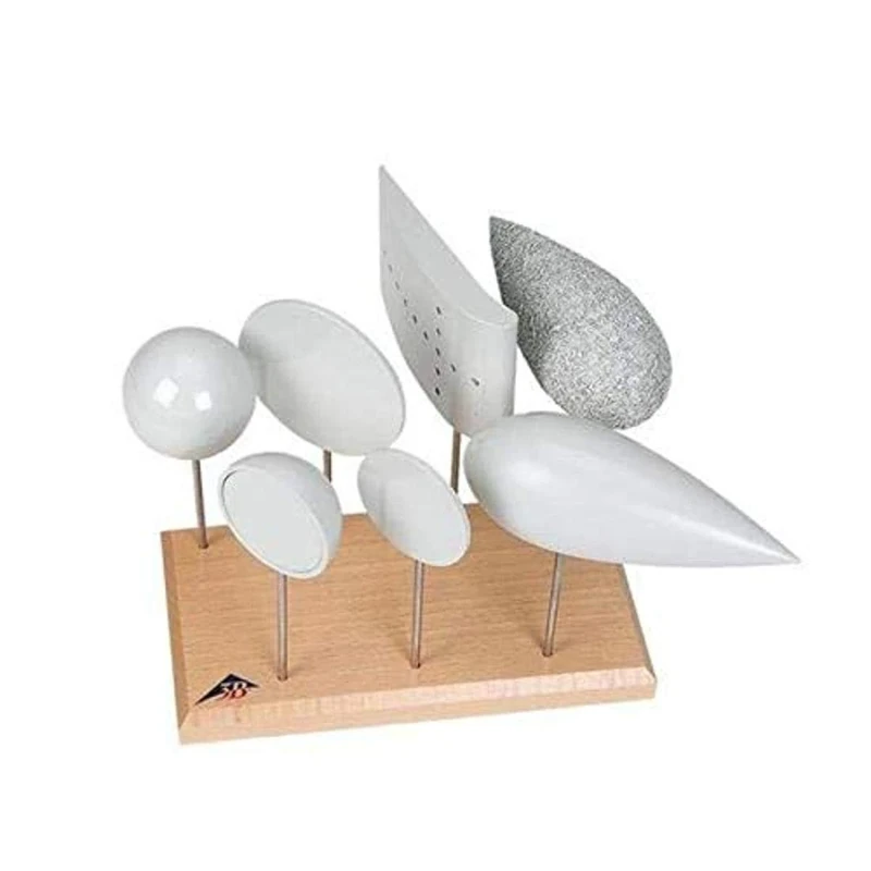 3B Scientific U8404260 Set of Bodies Model For Air Resistance And Buoyancy Experiments