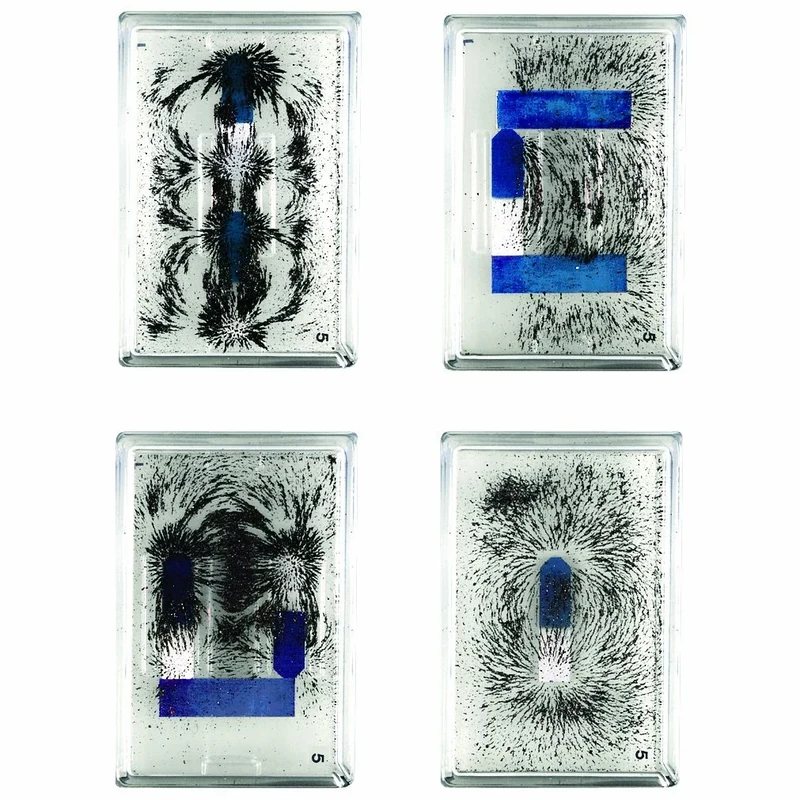 3B Scientific U8491790 Set of Apparatus For Displaying Magnetic Field