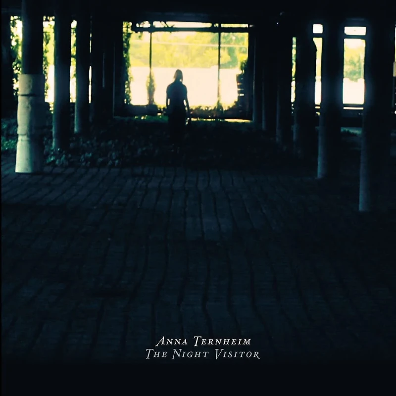 The Night Visitor (Ltd. Edt.) [VINYL] - Image 1