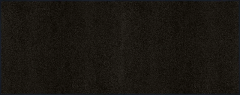 Door Mat Black 75x190 cm black