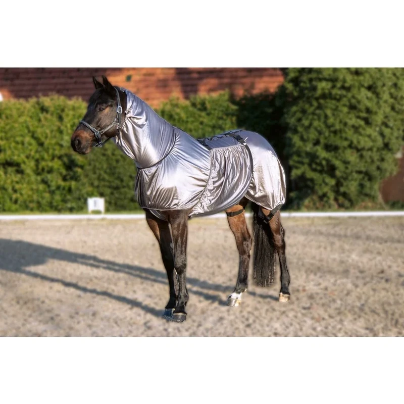 HKM Security Eczema Rug Grey 6'9