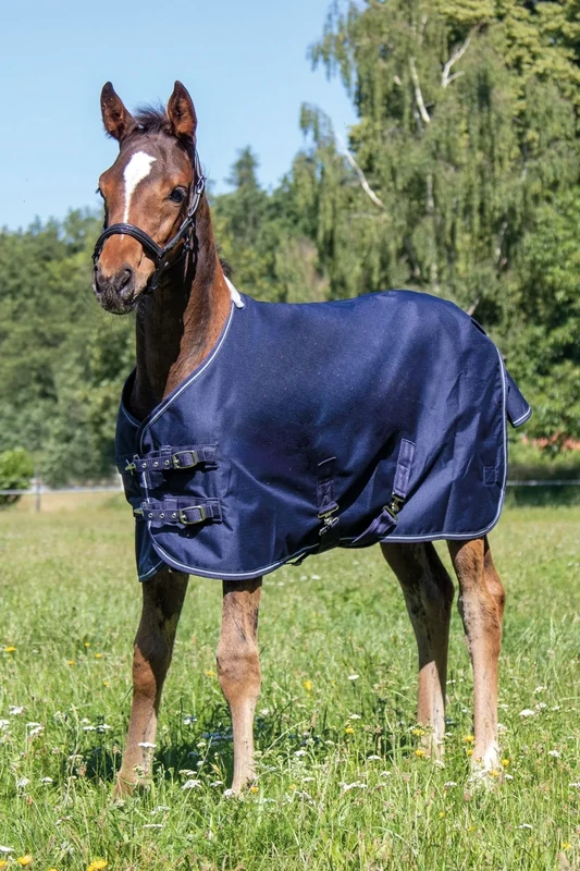HKM 52666900.0008 Professional Foal Blanket with Polar Fleece Lining Dark Blue