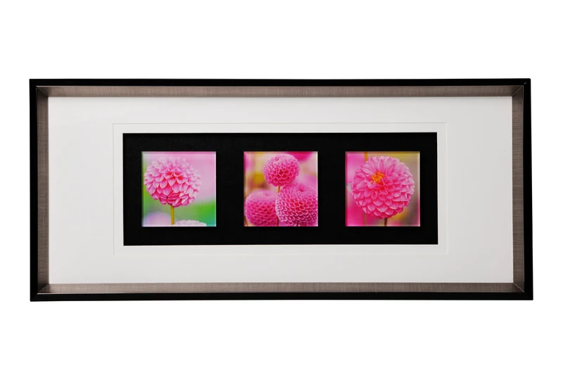 Premier Housewares Framed Triple Floral Wall Art