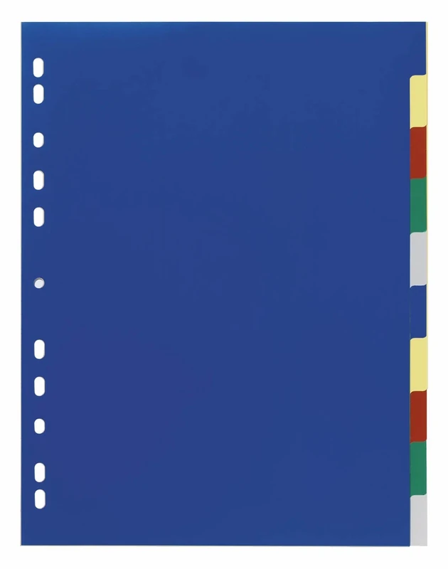 Durable Index A4+ 10 Part File - Includes Coloured Tabs & Cover Sheet for Easy Organisation - Universal Hole Punching - Pack of 20