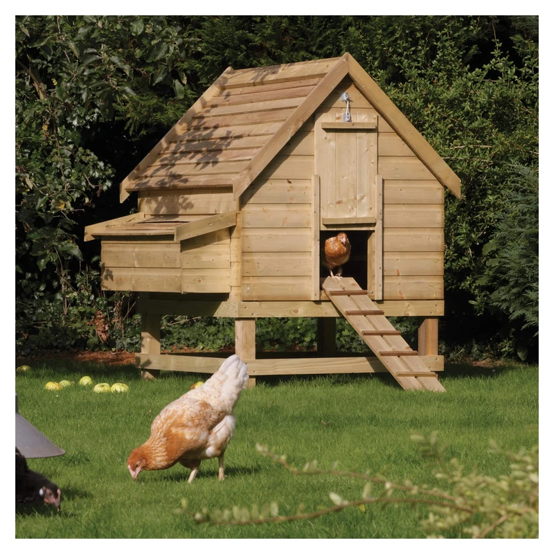 Rowlinson Chicken Coop, Large