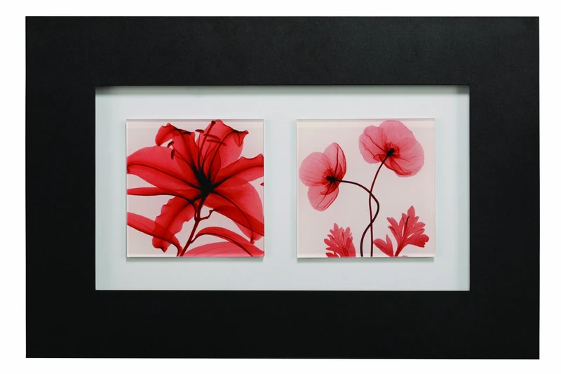 Premier Housewares Framed Poppy Double Wall Art, 50 x 75 cm
