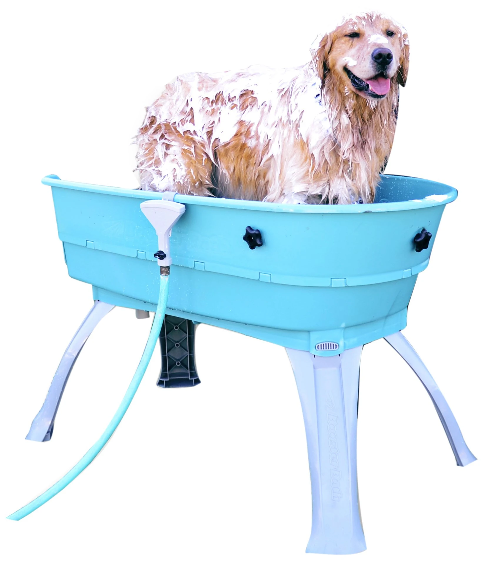 Booster Bath Elevated Pet Bathing, Teal, Large (Pack of 1)