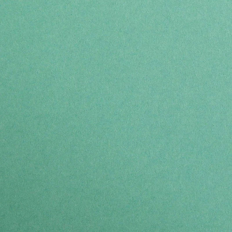 Clairefontaine - Ref 97951C - Maya Coloured Smooth Drawing Paper (Pack of 25 Sheets) - 270gsm Paper - A1 (84 x 59.4cm) - Dark Green Colour - Deep Dyed, Acid Free, pH Neutral