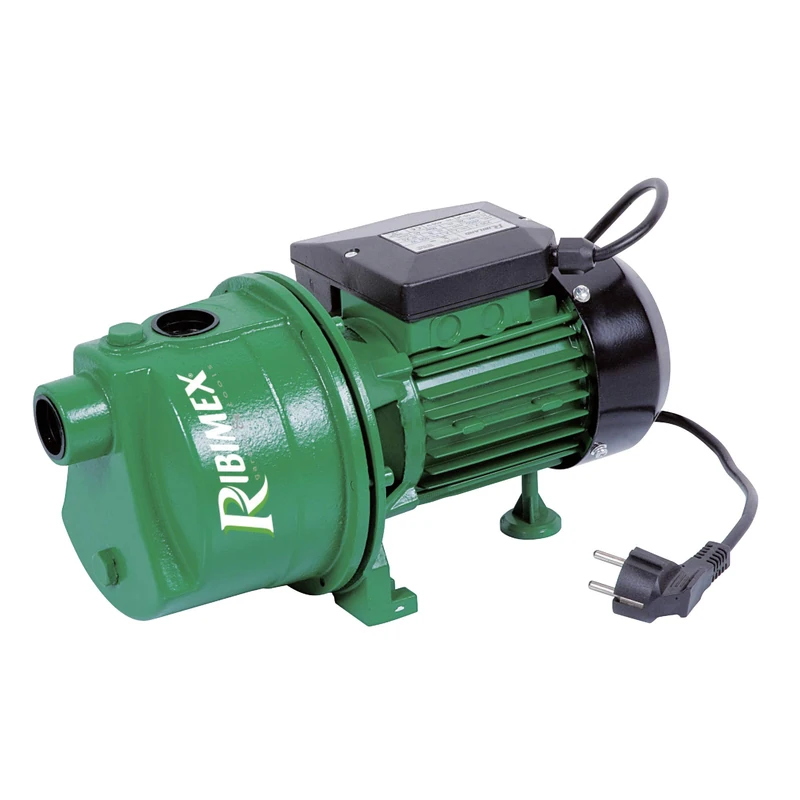 Ribiland PRJET81 Surface Pump Jet81, 750 W, Green/Black