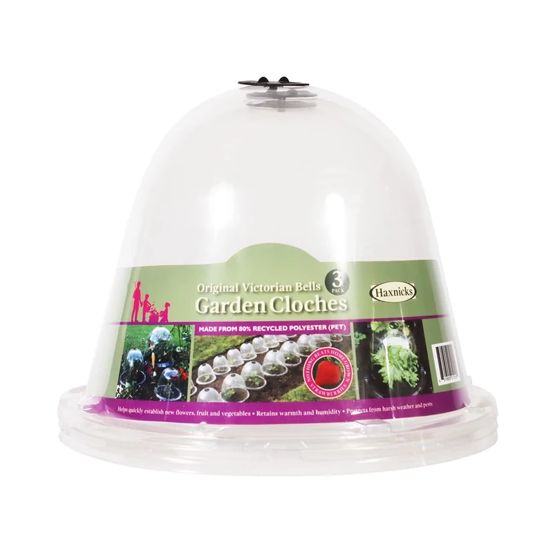 Haxnicks 3 x Medium Original Victorian Bell Garden Cloche Plant Protection | Growing Vegetable | Specimen Plants | Pack of 3| Specimen Plants | Pack of 3 | Transparent, 26 x 34 cm | BELL050101
