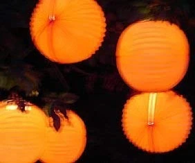 Orange Solid Garden Outdoor Paper Lanterns(5 pack)