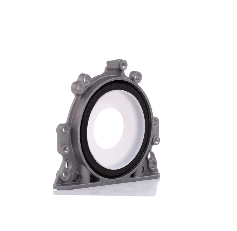 Reinz 81-90000-00 Shaft Sealing Ring, Crank Axle