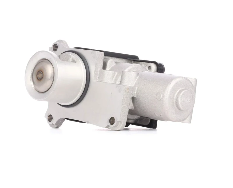 Pierburg 7.00907.03.0 EGR Valve