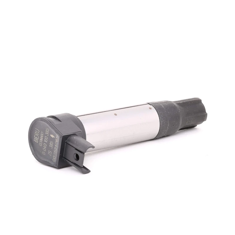 BERU ZS385 Ignition and Heating System