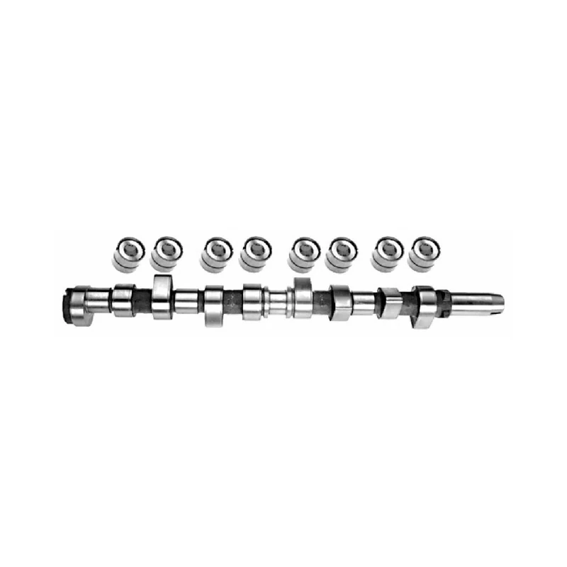 febi bilstein 05823 Camshaft Kit, pack of one