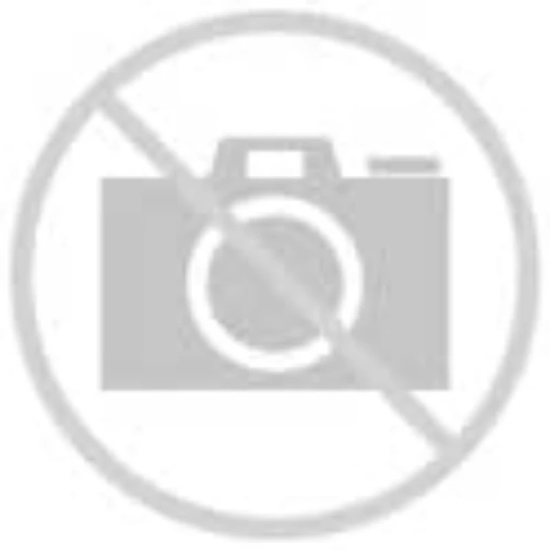 febi bilstein 20523 Air Spring with plastic piston, pack of one