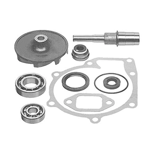 febi bilstein 09811 Water Pump Repair Kit, pack of one