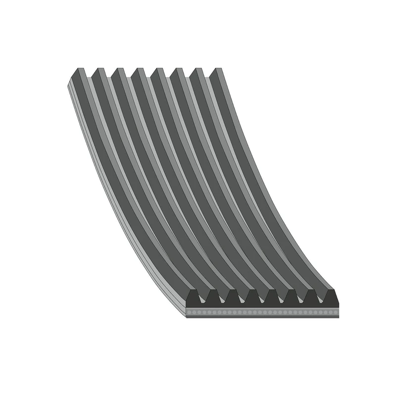 febi bilstein 29081 Auxiliary Belt