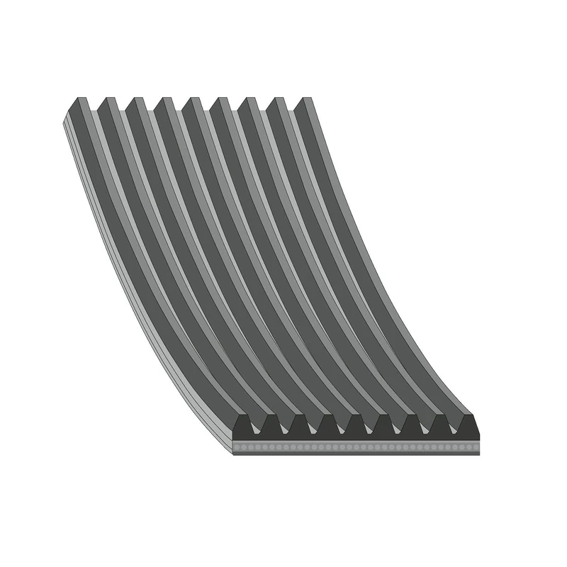 febi bilstein 29097 Auxiliary Belt