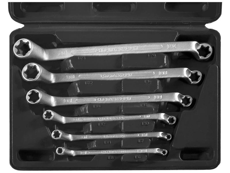 SW-Stahl Double Offset Ring Spanner Wrench Set, E-Profile 6 Pieces E 6 – 01580L 24