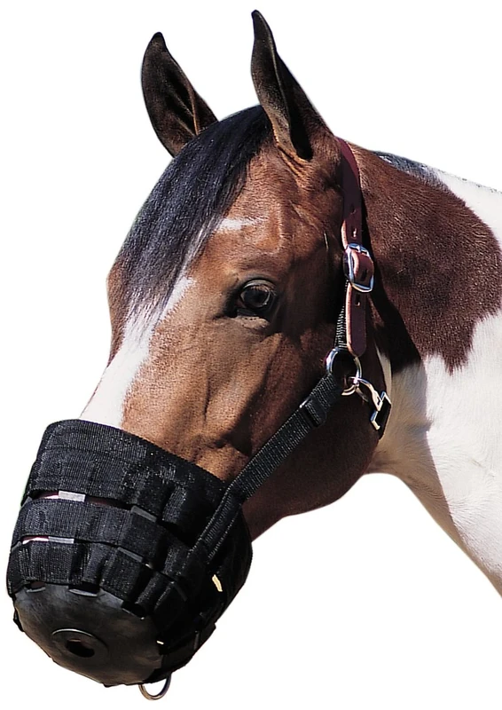 Weaver Leather 65-2345 Grazing Muzzle, Average, Black Medium - Image 1