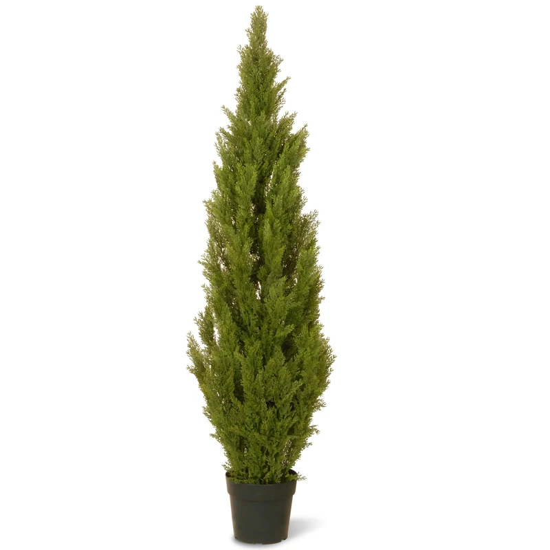National Tree 60-Inch Arborvitae Tree with Dark Green Round Plastic Pot - Image 1