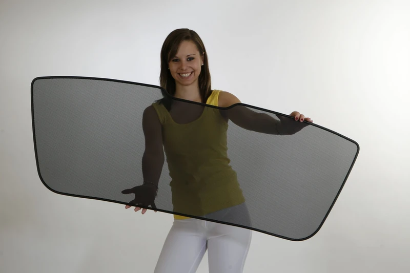 Sonniboy compatible with BMW 3-Series E90 Sedan 2005-