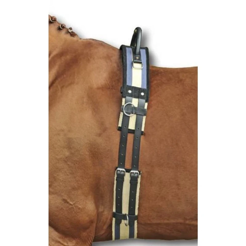 HKM SPORTS EQUIPMENT 17956925.0647 1795 Lunging Strap with Handle/Lunging/Canvas/Pony Shetty VB/WB