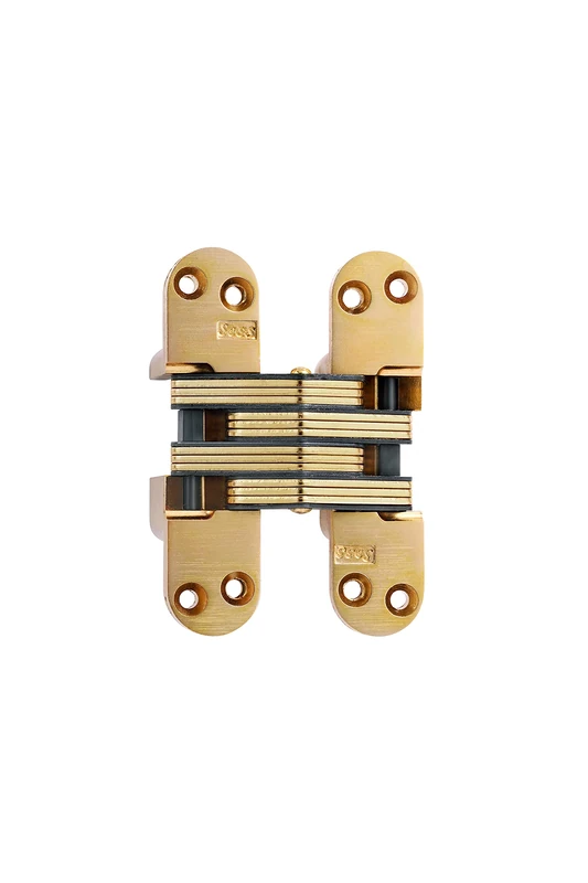 SOSS 218US4 218 Concealed Hinge, Gold, 10 x 1-1/2"