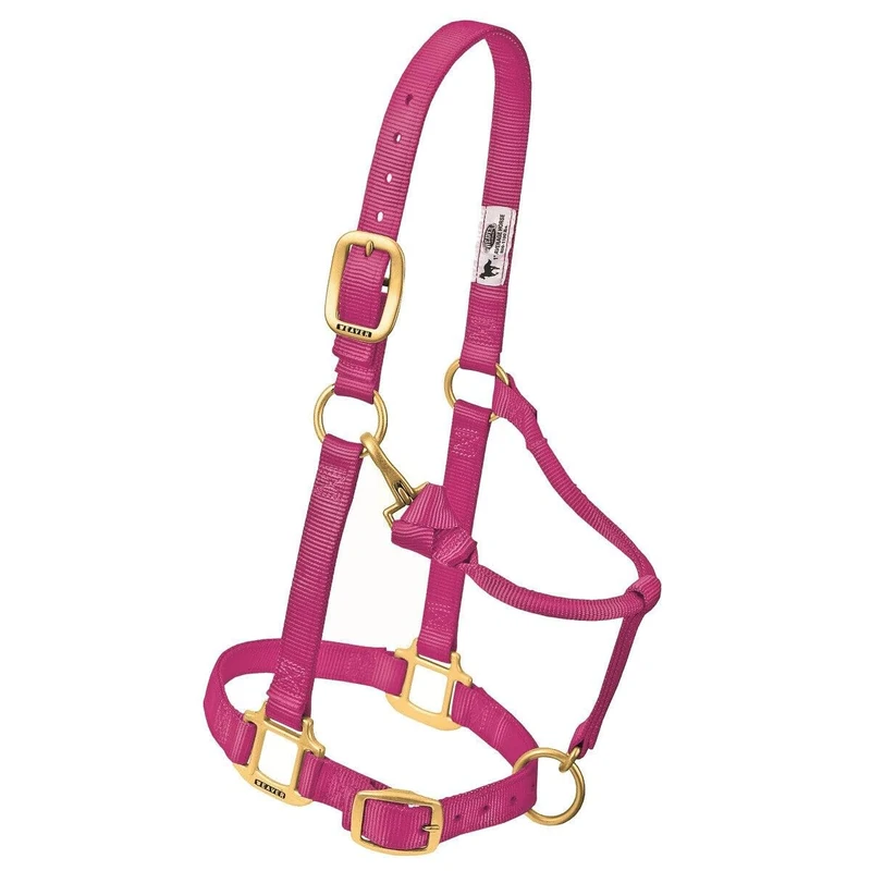 Weaver Leather Original Adjustable Nylon Horse Halter, Small Horse, Raspberry