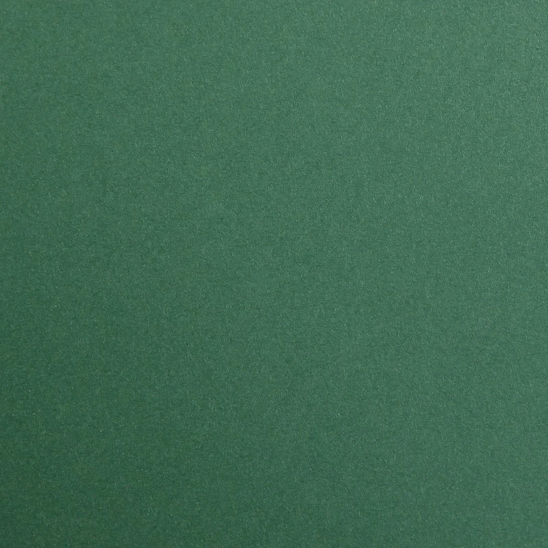 Clairefontaine - Ref 97979C - Maya Coloured Smooth Drawing Paper (Pack of 25 Sheets) - 270gsm Paper - A1 (84 x 59.4cm) - Antique Green Colour - Deep Dyed, Acid Free, pH Neutral