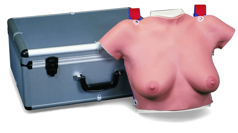 3B Scientific L50 Wearable Breast Self Examination Model