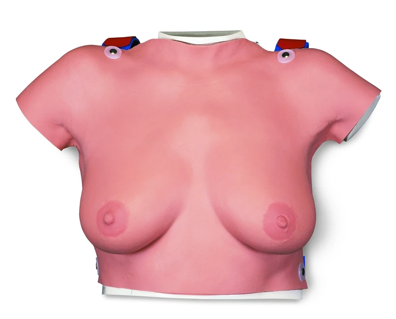 3B Scientific L51 Wearable Breast Self Examination Model
