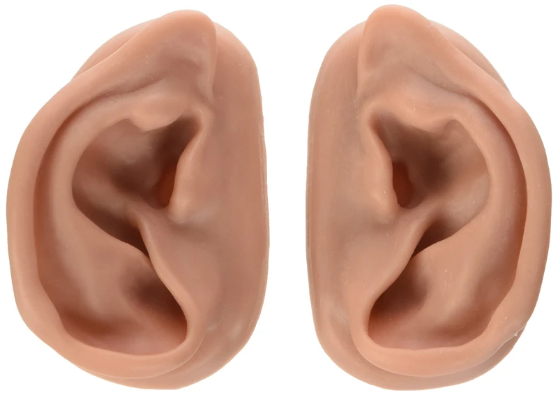 3B Scientific 3B Ear set, one left and right ear