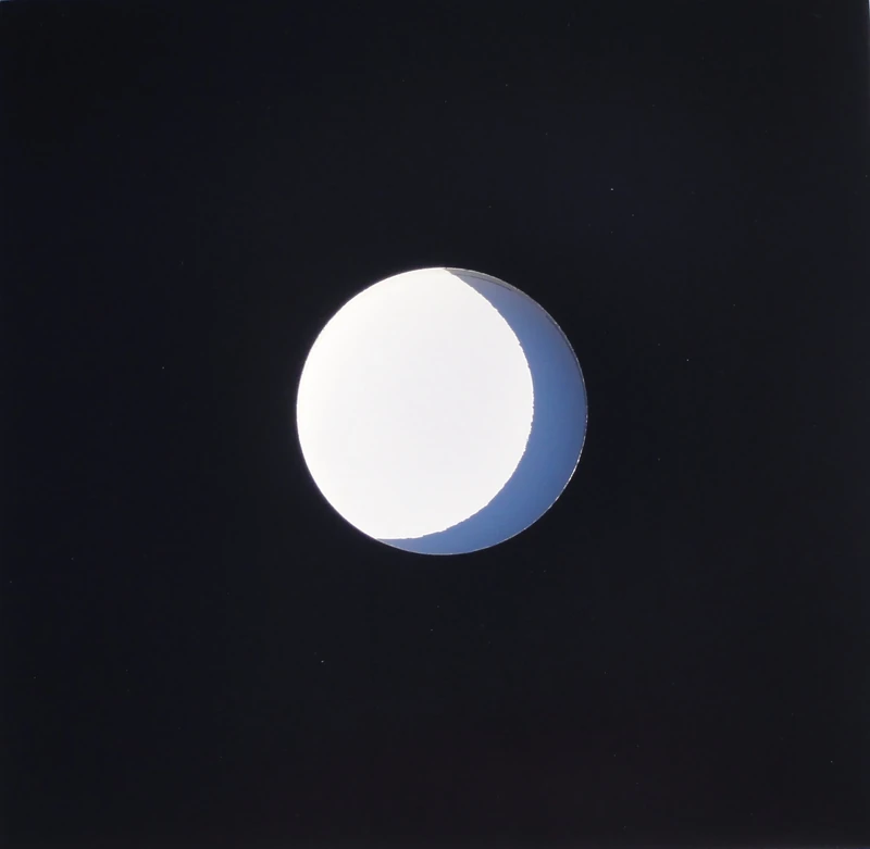 Vinyl Guru® 100 x 12" inch Vinyl Record Album LP Black Card Sleeves (Straight Cut Top)