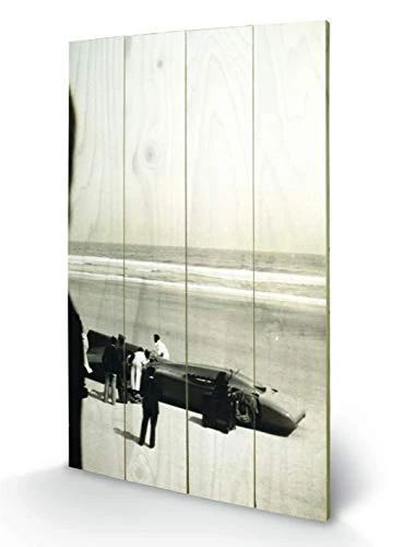 Pyramid International Bluebird Wooden Wall Art, multicoloured, 45 x 76 cm