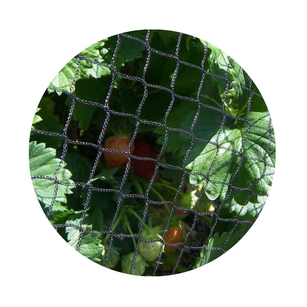 Heavy Duty Bird Soft Flexible 20mm Mesh Netting for Garden Fruit Crop Cage Protection (8m x 20