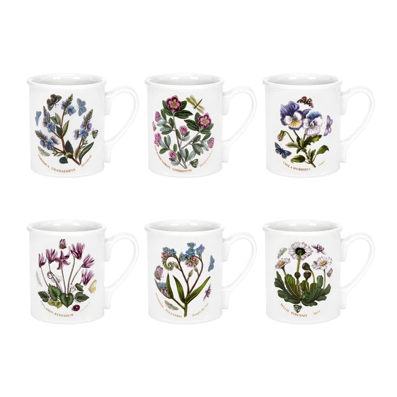 Portmeirion x Botanic Garden Set of 6 Breakfast Mugs - Assorted Floral Motifs, Microwave & Dishwasher Safe for Enjoying Hot Drinks Every Day