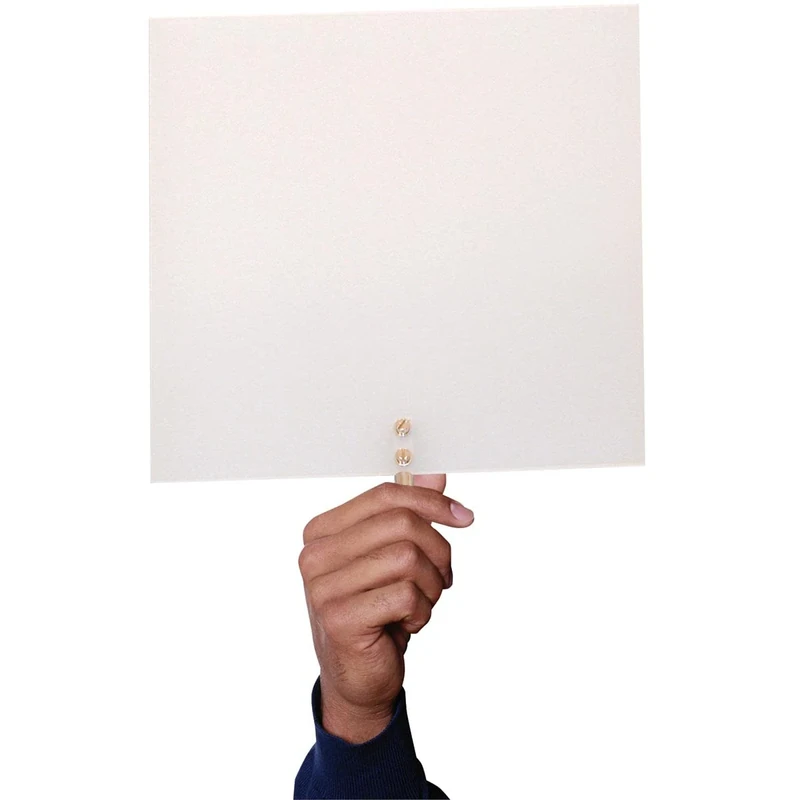 3B Scientific U17130 Projection Screen