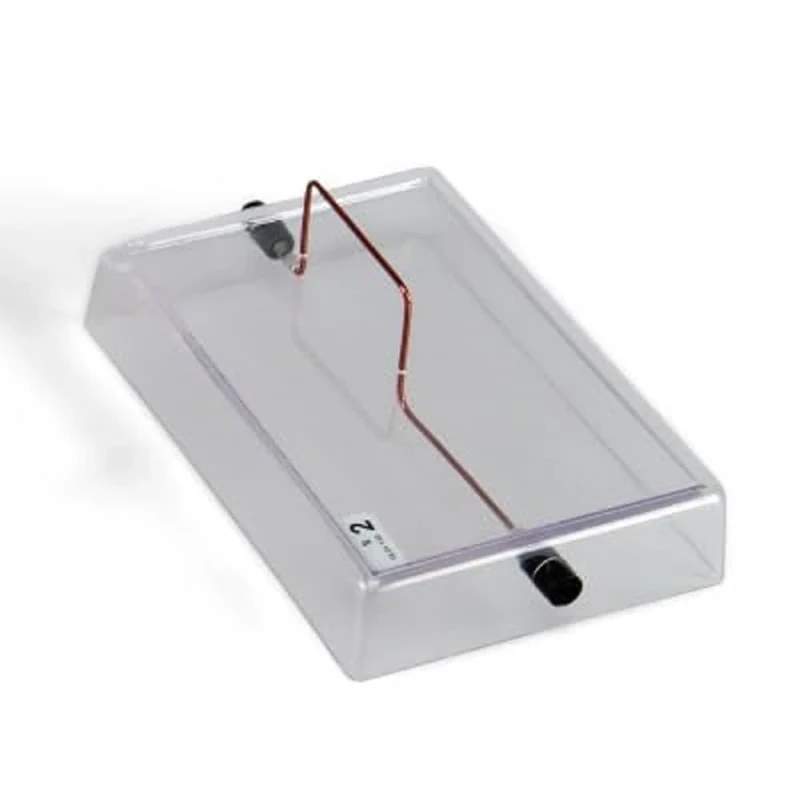 3B Scientific U8491791 Straight Conductor On Acrylic Base