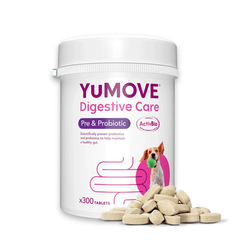 YuMOVE Digestive Care, Dog Pre and Probiotics Supplement for Gut Health and Digestive Support, All Ages and Breeds with Sensitive Digestion, 300 Tablets