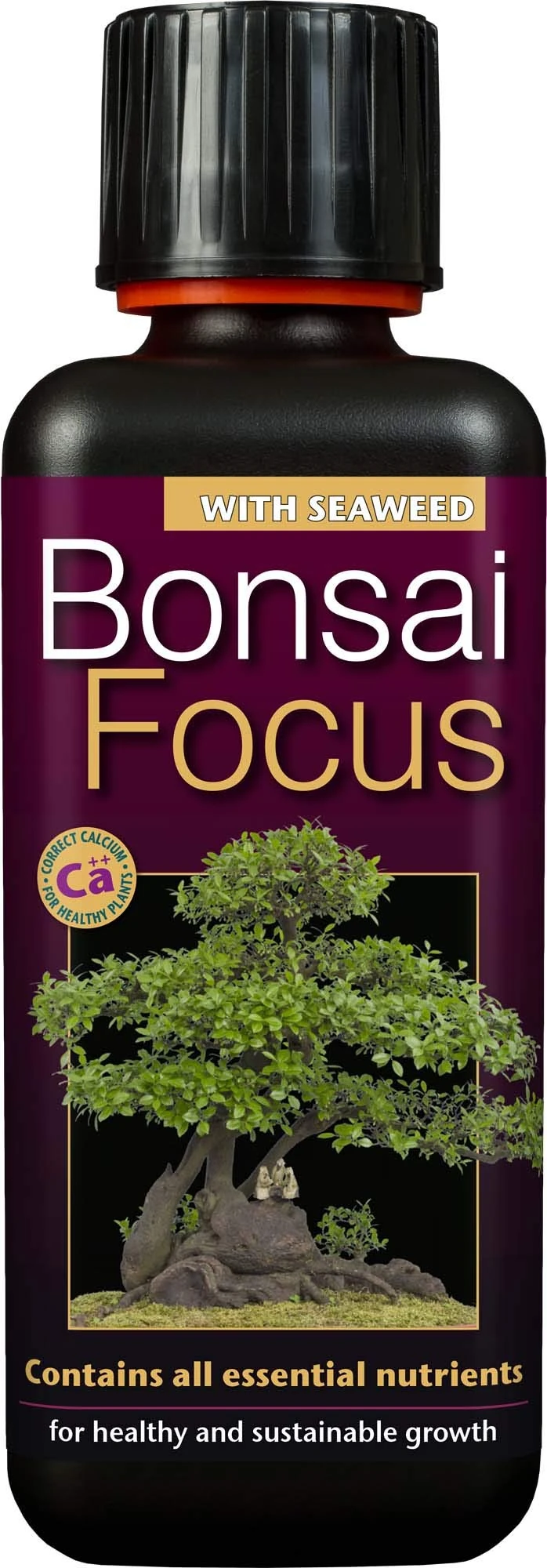 Growth Technology Ltd Bonsai Focus Feed, Black, 300ml