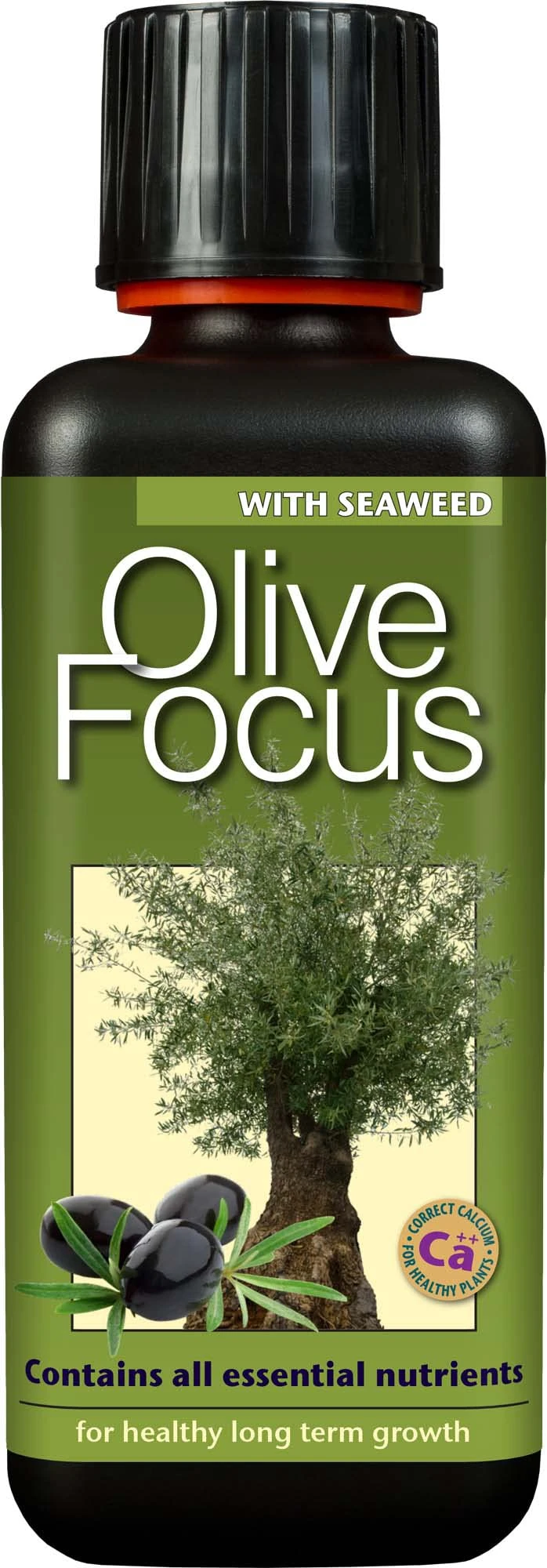 Growth Technology Ltd Olive Focus fertiliser, Brown, 300ml