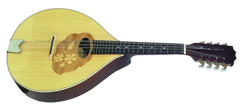 GEWA Mandola Pro Arte High gloss