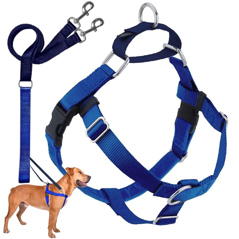2 Hounds Design 859131002687 No-Pull Dog Harness with Leash XL 1 Inch Wide Royal Blue