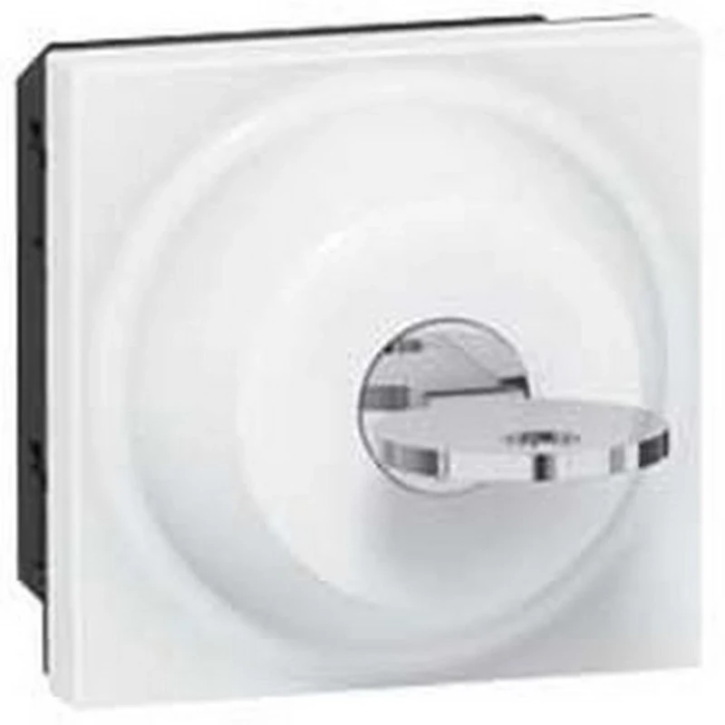 Legrand 077072 Key Switch Mosaic, 2-Position, Ronis Key, 2 Modules, White